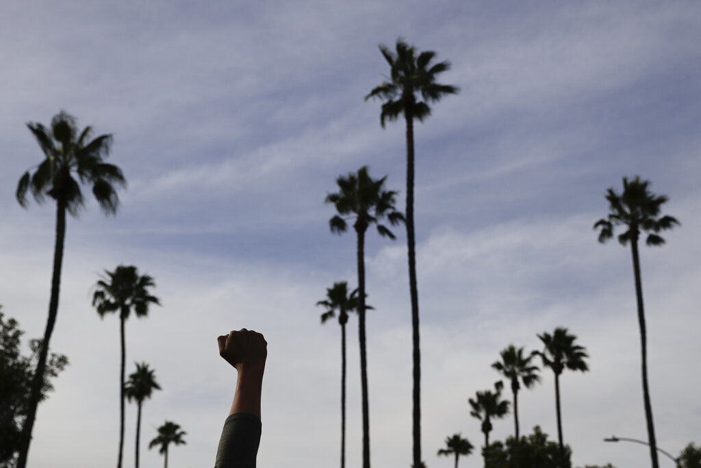 APTOPIX America Protests California